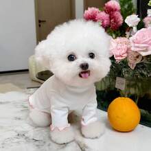 1 件宠物狗秋冬家居服，防脱毛，适合泰迪、博美犬、比熊犬和小型犬 - 白色 - 查看 10