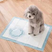 50-Piece Puppy Pee Pads, Pee Pads, Puppy Pee Pads, Dog Training Potty Pee Pads, Sanitary Dog Training Pads, Super Absorbent. 50/20/10 Pieces * Bag, 40 * 60 Cm, 60 * 60 Cm, 60 * 90 Cm - 60cm*90cm 30 miếng - Xem 8