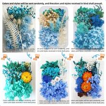 5-10pcs/Box Preserved Flowers/Photo Frame Decor Flowers - In Stock, Suitable For Christmas Decoration And Home Decor