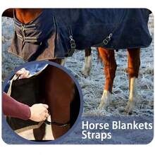Adjustable Elastic Horse Saddle Stabilizer Strap, Anti-Slip Horse Blanket Fixing Strap, Equestrian Supplies