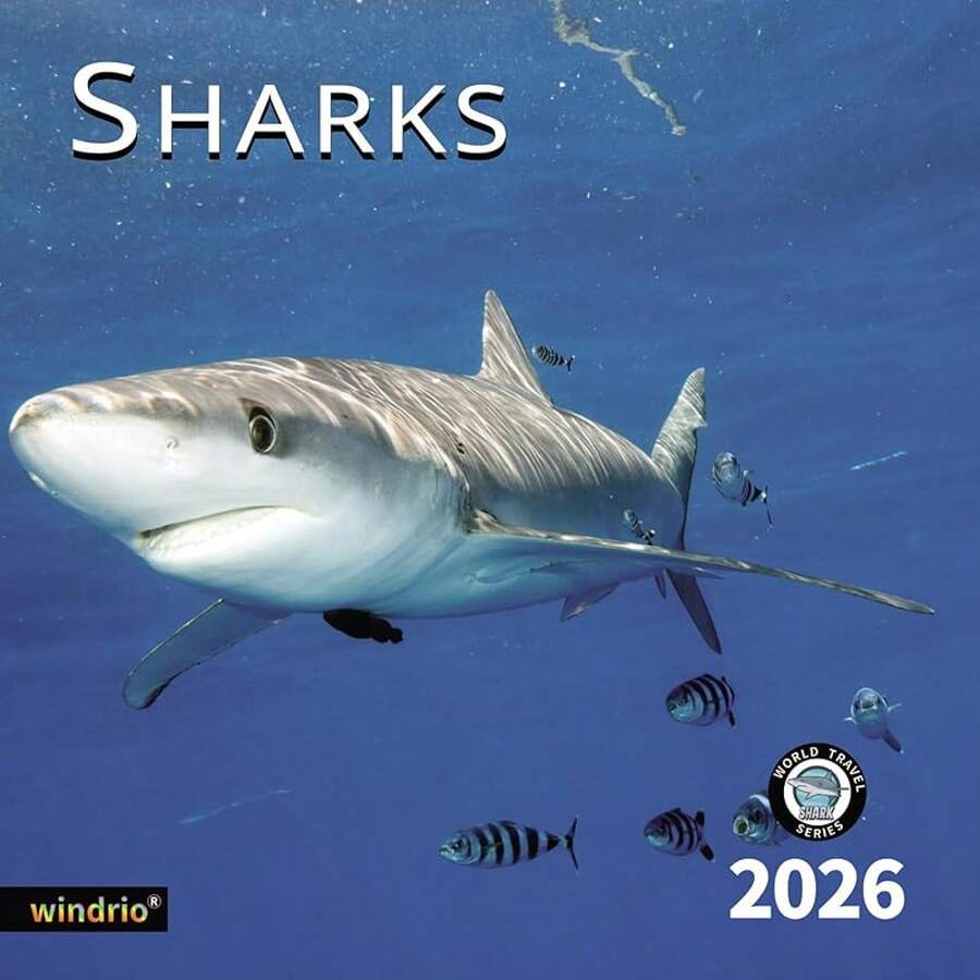 2026 WALL CALENDAR,CALENDAR 2026, November 2025 - December 2026, Wall Calenda... $19.69 - View #8