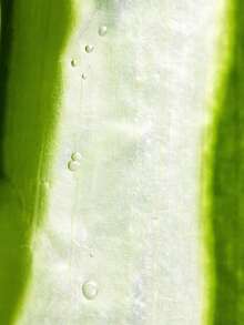 NATURE REPUBLIC 全新舒缓保湿芦荟凝胶,半透明啫喱质地,即刻清凉、保湿、舒缓肌肤,防漏瓶盖,运动后肌肤焕活,妆前打底,干燥气候救星,适用于身体和面部,韩国化妆品,300毫升/10.56液盎司 - 10.56 液體盎司 - 查看 10