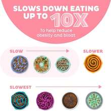 Outward Hound Small Fun Feeder Slow Bowl, Puzzle For Fast Eaters, Puppies, Cats &Amp; Small Dogs, Wet Or Dry Food, Helps Prevent Bloat &Amp; Aid Digestion, 3_4 Cup Capacity, Non-Slip, Made Without BPA, Pink - ColorE - 查看 4