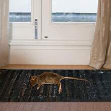 Trampa de ratón grande adhesiva impermeable para restaurante, caja fuerte cocina hogar, accesorio control plagas práctico - Negro - Ver 2