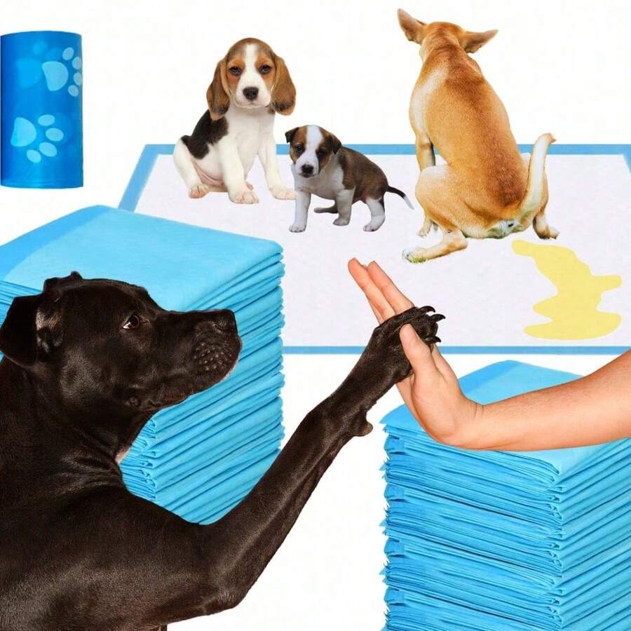 50-Piece Puppy Pee Pads, Pee Pads, Puppy Pee Pads, Dog Training Potty Pee Pads, Sanitary Dog Training Pads, Super Absorbent. 50/20/10 Pieces * Bag, 40 * 60 Cm, 60 * 60 Cm, 60 * 90 Cm - 60cm*90cm 30 miếng - Xem 1