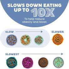 Outward Hound Small Fun Feeder Slow Bowl, Puzzle For Fast Eaters, Puppies, Cats &Amp; Small Dogs, Wet Or Dry Food, Helps Prevent Bloat &Amp; Aid Digestion, 3_4 Cup Capacity, Non-Slip, Made Without BPA, Pink - ColorA - 查看 4