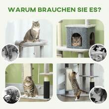 Árboles y Condominios para Gatos - por defecto - Ver 7