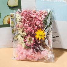 Bulk Assorted Dried Flowers Pack - Multi-Use Preserved Flora For DIY Crafts, Frame Decor, Wreath, Boutonniere, Wedding Accessories, And Home Decor - No Electricity Needed, Feather-Free, Perfect For Christmas, Halloween, Easter, And Thanksgiving