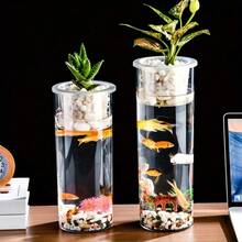 2-In-1 Plastic Transparent Cylinder Aquarium With Hydroponics Basket, Suitable For Desktop Or Tabletop Display