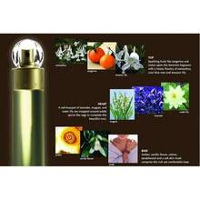 Perfume Perry Ellis Classic 360 traditional edt 100 ml para mujer fragancia femenina Perry Ellis Classic 360 formato 100 ml eau de toilette clasico notas frescas y elegantes duracion moderada presentacion premium regalo ideal para mujer que busca aroma venerable y sofisticado garantia original oferta especial - Aroma floral fresco - Ver 5