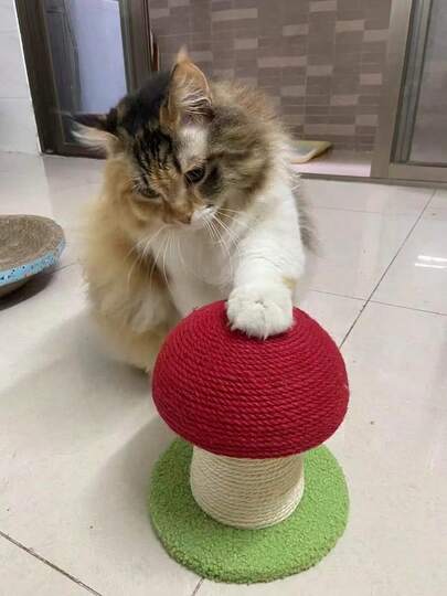 小型蘑菇形猫抓板，适合幼猫 蘑菇猫抓柱 猫抓板 小号剑麻绳 耐磨无杂物猫咪救助玩具（尺寸略小，适合幼猫）
