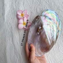 Pink Purple Shell Jewelry Tray - Christmas Decorations For Home, Fall Home Decor, Elegant Storage Tray, Wedding Party Gift & Light Luxury Display Bowl - Pinkish-purple - View 4
