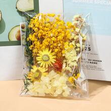 Bulk Assorted Dried Flowers Pack - Multi-Use Preserved Flora For DIY Crafts, Frame Decor, Wreath, Boutonniere, Wedding Accessories, And Home Decor - No Electricity Needed, Feather-Free, Perfect For Christmas, Halloween, Easter, And Thanksgiving