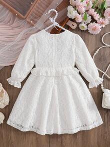 Kids Girls Lace Dress, Long Sleeve Dress Crew Neck Flower Fall Princess Dress For Daily Party - 白色 - 查看 6