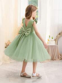 Young Girl Mint Green Ruffle Trim Mesh Party Dress, Elegant Princess Style Dress Suitable For Girls Birthday Party, Christmas Gift, Formal Occasion, Casual Daily Wear, Flower Girl Wedding Dress - Mint Green - View 4