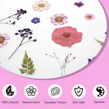 20Pcs Pressed Flowers Resin Molds Real Natural Pressed Flowers Art Crafts,Candle Making, Nails Décor,Soap Making, Phone. - 紫色乾燥花 03 - 查看 8