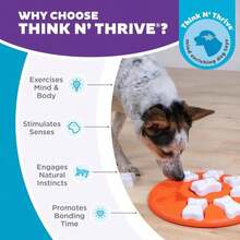 Outward Hound By Nina Ottosson Puppy Smart Treat Puzzle Enrichment Toy, Level 1 Beginner, Blue - ColorA - 查看 6