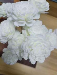 一股香藤形卷藤香水挥发棒配件天然印尼藤草香水挥发棒酒店厕所客厅卧室可用香水熏香棒