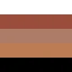 Brown Bear