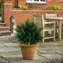 1/2 Pack Artificial Plants For Outdoor,  Artificial Cedar Topiary Tree With Ground Spike, UV Resistant Potted Fake Plants With Cement Planter, Faux Cedar Shrubs Evergreen Plants For Indoor Outdoor Front Porch Garden Backyard Decor - 墨綠色 - 查看 8
