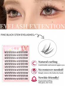 120 件/套卡通风格可重复使用簇状假睫毛，分段设计增强眼部效果，送给女性和女孩的礼物，大容量，分段假睫毛，睫毛簇，单根睫毛