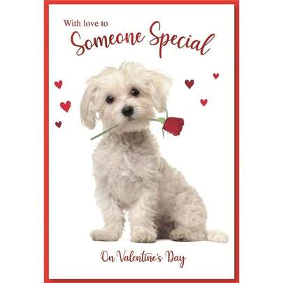 Puppy Valentine Greetings Card (Pack Of 6) (White/Red) - 100% Mixed - (SG22552)