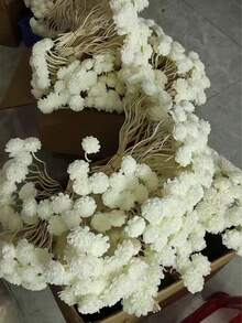 一股香藤形卷藤香水挥发棒配件天然印尼藤草香水挥发棒酒店厕所客厅卧室可用香水熏香棒