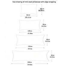 1 față de pernă din pluș cu model geometric, culoare solidă, față de pernă lungă, matlasată din catifea lapte, groasă, pentru cupluri (fără inserție de pernă), moale ca mătasea, prietenoasă cu pielea, caldă și confortabilă, lavabilă la mașină, potrivită pentru dormitor, cameră de oaspeți, cămin, se potrivește cu paturi twin, duble, queen-size, culoare solidă, cadou ideal de Crăciun