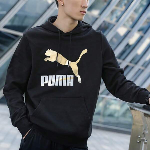Puma Puma Men's Casual Hooded Sports Sweatshirt Pullover 531370