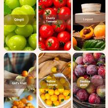 RAF Electric Grape/Tomato/Garlic Peeler, Rechargeable Automatic Fruit Peeler, Kitchen Fruit & Vegetable Peeler, Commercial Bubble Tea Fruit Peeler, Household Peeler, Significantly Improve Food Processing Efficiency, Food Processing, Kitchen Gadgets, Compact Design, Modern Kitchen Tool