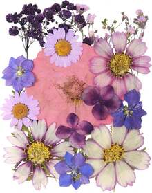 20Pcs Pressed Flowers Resin Molds Real Natural Pressed Flowers Art Crafts,Candle Making, Nails Décor,Soap Making, Phone. - 紫色乾燥花 03 - 查看 1