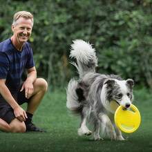 Indestructible Dog Flying Disc - An Interactive Toy For Training, Chewing, And Water Entertainment - Suitable For Outdoor Play,Dog Toy, Dog Training Ring, Suitable For Outdoor Use, Powerful And Durable For Dogs To Chew, Pet Picking Up Toys, Pet Floating Dog Ring, Suitable For Large And Medium-Sized Dog Training And Tooth Cleaning - Multicolor - View 5