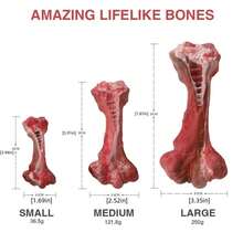 New Interactive Dog Chew Toy, Pet Bite Resistant Rubber Simulated Bone Chew Toy - Multicolor - View 8