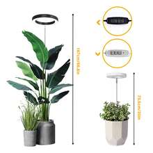 Lampe de culture, lampe à LED spectre complet pour plantes d'intérieur, lampe de culture réglable en hauteur avec minuterie de marche/arrêt automatique 3H/9H/12H, 4 niveaux de luminosité réglables, idéale pour les petites plantes