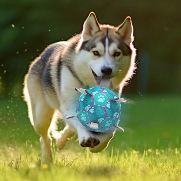 Juguete para perros tipo cuerda de tira y afloja con pelota de fútbol tejida, pelotas de fútbol para perros para interior y exterior, para perros pequeños, medianos y grandes