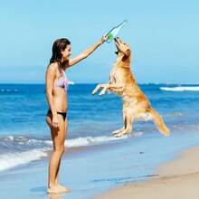 Water Bottle Dog Toy Dog Toys  Ressive Cewers C Squeaky Toys  Large/Medium/Small D Intere Dog Toys To Keep Tem Bu Cruncnplay Bottle Toy Blue - Màu xanh lam - Xem 6