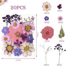 20Pcs Pressed Flowers Resin Molds Real Natural Pressed Flowers Art Crafts,Candle Making, Nails Décor,Soap Making, Phone. - 紫色乾燥花 03 - 查看 6