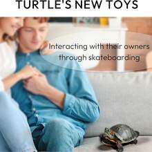 Mini Turtle Skateboard With Anti Slip Pad, Smooth Rolling Wheel Design, Suitable For Pet Toys Of Turtles And Birds