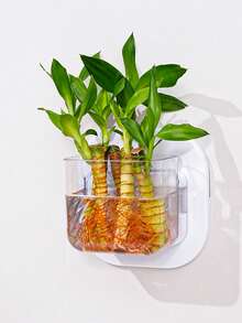 1pc Multi-Functional Wall-Mounted/Hanging Plastic Decor - Creative Vase, Mini Office Fish Tank & Hanging Hydroponic Planter For Living Room Home Decoration Accent, Space-Saving Indoor Plant/ Aquarium Display