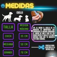 Pet Basic Dog Collars - Rose - View 3
