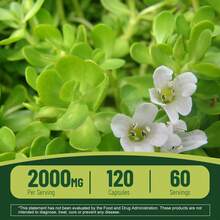 BUPORAI Bacopa Monnieri 2000 Mg - Suplemento Nootrópico Para El Cerebro, Favorece El Pensamiento Lúcido Y Mejora La Memoria - 120 Unidades - 120 cápsulas - Ver 3
