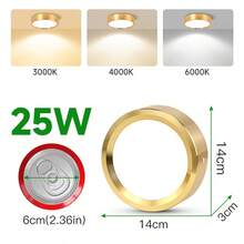 1 件金色嵌入式筒灯，现代 LED 吸顶灯，客厅/卧室吸顶灯，金色圆形 LED 面板灯，5W/10W/15W/25W，冷白/中性白/暖白，AC185-265V，易于安装，适用于卧室、客厅、厨房、走廊、楼梯、地下室、车库、酒吧、商场、书房、陈列室 - 金色明裝筒燈 - 查看 17