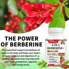 Gwynne 4 En 1 Berberina Y Bioperine 1200mg 90 Cápsulas Con Canela De Ceilán, Melón Amargo Y Extracto De Té Verde, Apoyo A La Salud Del Corazón, Sistema Inmunológico, Gi Saludable, Colesterol - Otros - Ver 4
