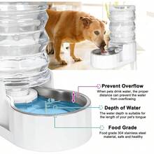 RIZZARI Automatic Pet Waterer Gravity Stainless Steel Water Dispenser 7L For Cats And Small Dogs - White - View 7