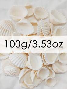 100g/150g/200g/300g/400g/500g Marine Stil weiß gestreifte Muscheln DIY Material, natürliche Schnecke Mikrolandschaft Aquarium Deko, Mittelmeer Windspiel Fotorahmen Zubehör
