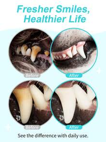 GJYC PET Pet Dental Health Water Additive (For Dogs & Cats) | Removes Plaque & Tartar, Freshens Breath, Maintains Dental Health | Veterinarian Recommended Formula, 80ml (2.71 Fl Oz) - 無色 - 查看 4