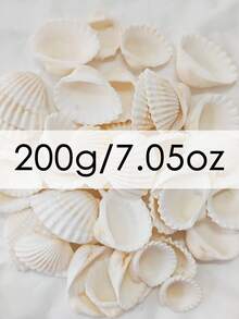 100g/150g/200g/300g/400g/500g Marine Stil weiß gestreifte Muscheln DIY Material, natürliche Schnecke Mikrolandschaft Aquarium Deko, Mittelmeer Windspiel Fotorahmen Zubehör