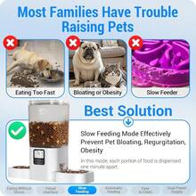 Frienhund 7L Automatic Cat Feeder With Slow Feed For 2 Cats: Programmable Automatic Dog Feeder With Information Visualization Interface Cat Food Dispenser With Timer Detachable For Easy Cleaning