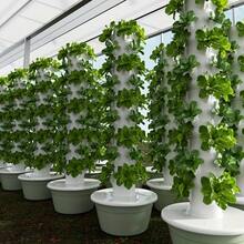 11-Layer Vertical Hydroponic Tower Vegetable Planter, Soilless Cultivation System, Home Planting Tower Garden Planter With Automatic Irrigation Function, Saves Kitchen Space, Suitable For Growing Herbs/Vegetables/Flowers - 白色 - 查看 3