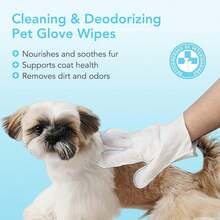 Funfawn Pet Cleaning Glove Wipes For Dogs &Amp; Cats - Extra Thick Hypoallergenic Deodorizing Pet Bathing Wipes - Rinse Free Grooming Wipes For Pet Daily Care And Traveling - Unscented, 20 Pcs